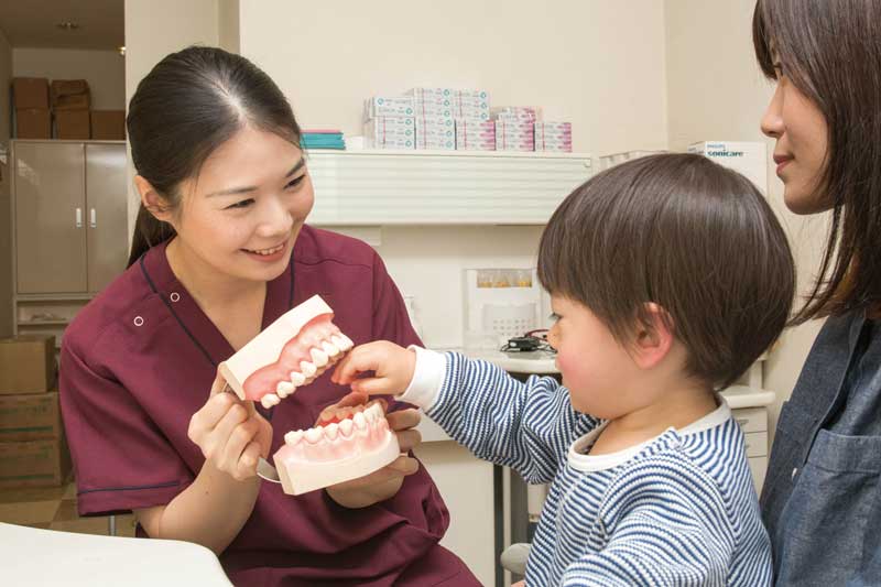 子育て中の女性医師や歯科衛生士が在籍し、経験と知識に基づいた提案に努めている。小さい子どもたちの“歯医者さん”のイメージを変える活動にも注力している