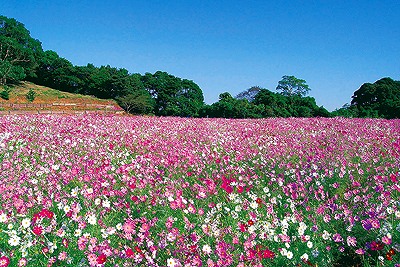 お出かけスポット イベント ながさきプレスwebマガジン 長崎のタウン情報誌公式サイト