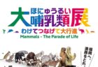 〈福岡市〉大哺乳類展―わけてつなげて大行進　2024年7月3日（水） ～8月25日 （日）