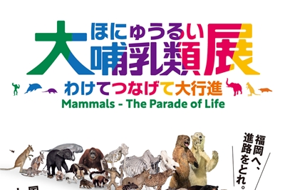 〈福岡市〉大哺乳類展―わけてつなげて大行進　2024年7月3日（水） ～8月25日 （日）