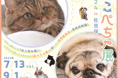 〈佐世保市〉ねこぺちゃ展 2024  in 佐世保　2024年7月13日（土）～9月1日（日）