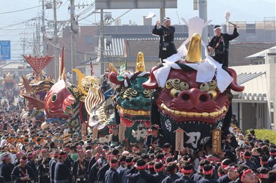 ＜佐賀県＞　唐津くんち　11/2(土)・11/３(日)・11/4(月)祝